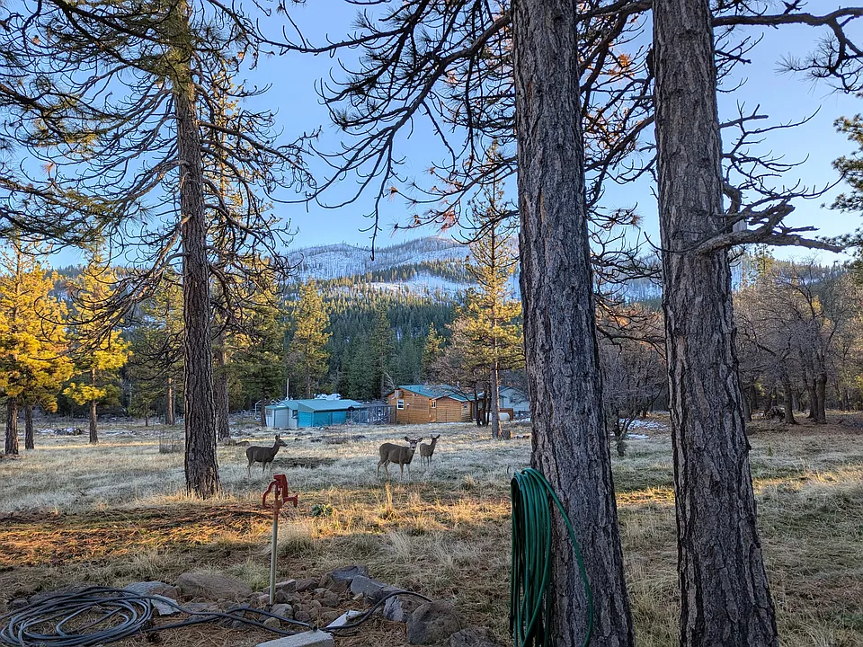 Gold Run Rd
