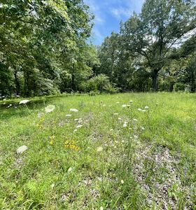 318 Highway 20 LOT 1, Summertown, TN, 38483