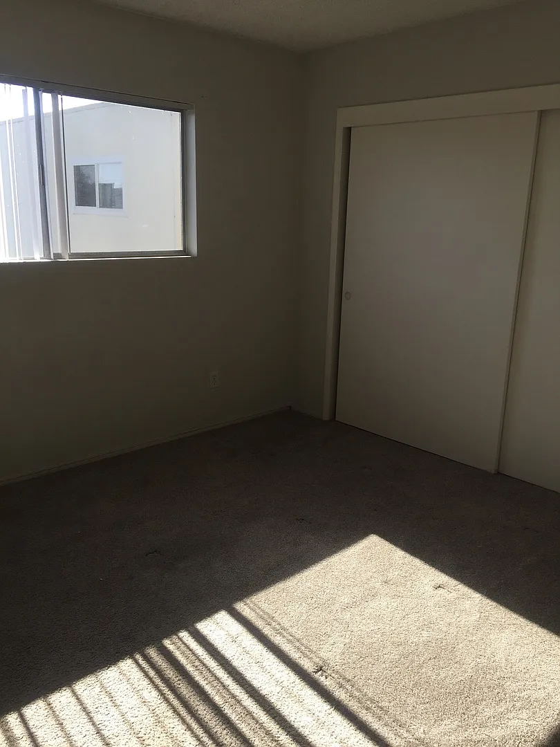 3119 — Photo 2