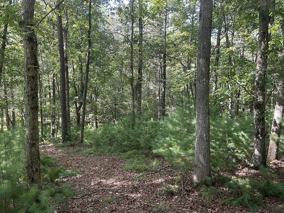 1st image of LOT 62 Harmony Way