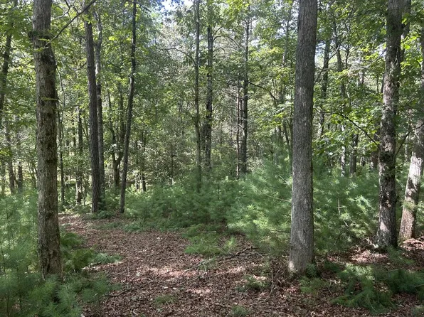 LOT 62 Harmony Way, Morganton, GA 30560