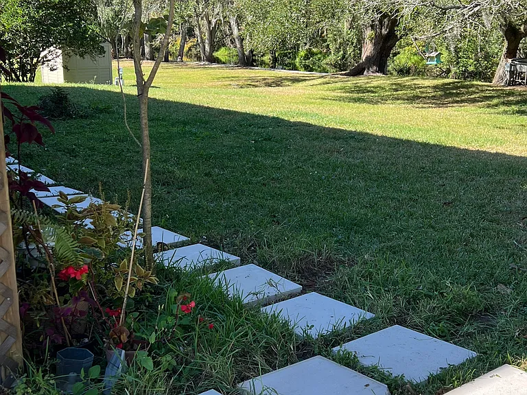 Step stone in backyard