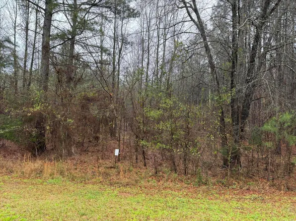 1010 CLINTON-WILLIAMS Road, Lincolnton, GA 30817