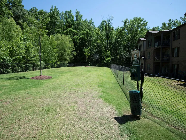Hall Creek — Photo 23