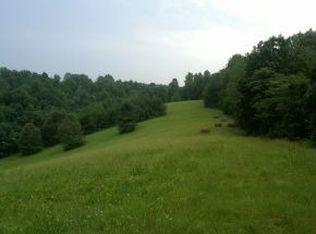 415 Haws Ln, Fall Branch, TN 37656