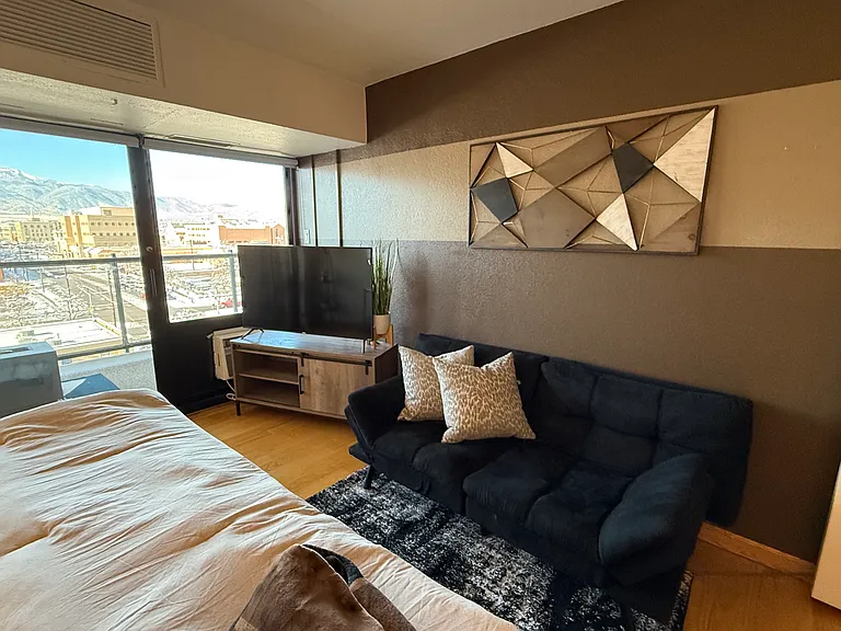417 E Kiowa St #906 — Photo 11
