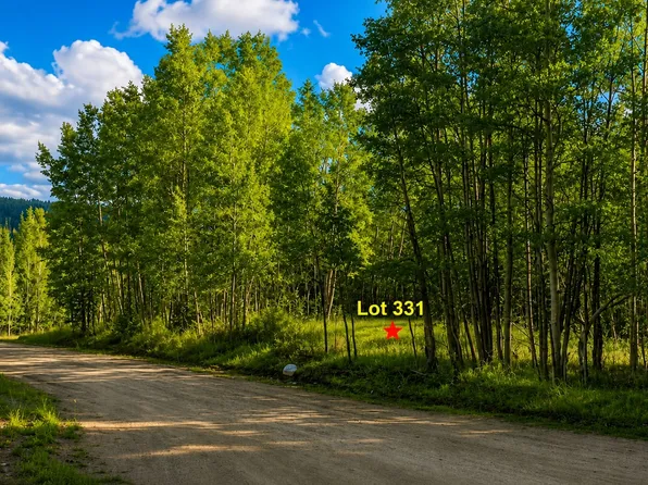331 Titmouse Drive, Alma, CO 80420
