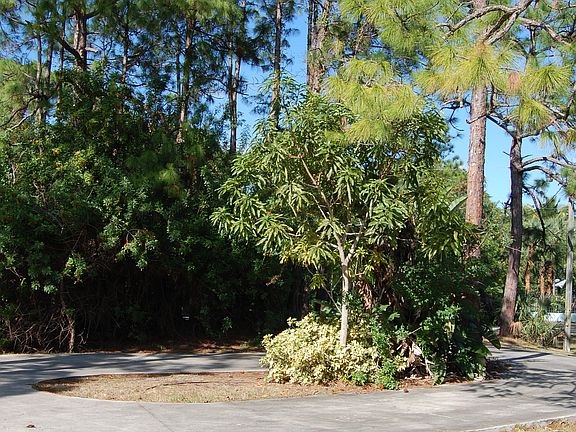 3rd image of 6132 Sea Grass Ln