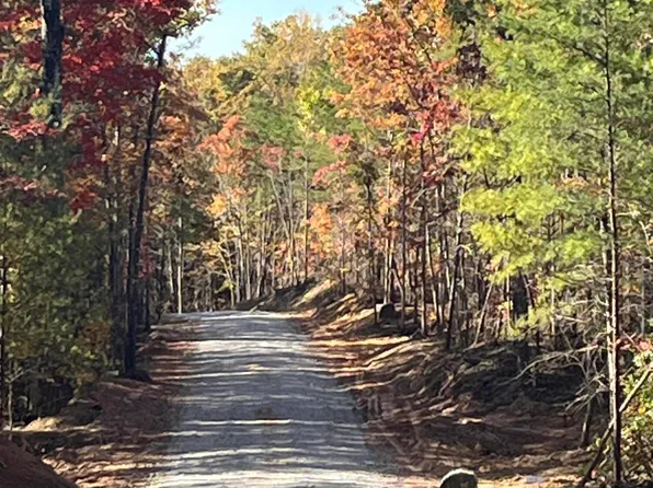 101 Cherokee Path, Tellico Plains, TN 37385