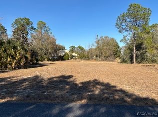 3178 N Barton Creek Cir, Lecanto, FL 34461