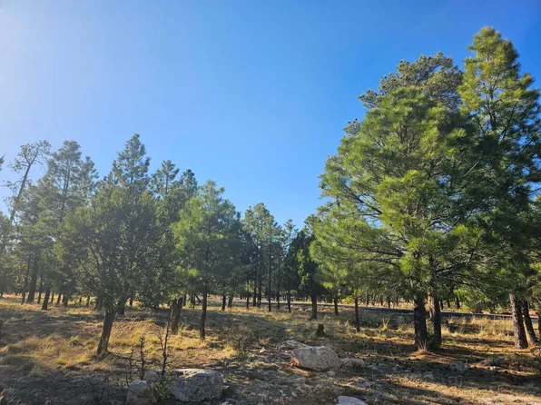 1608 Woodside Pl, Happy Jack, AZ 86024