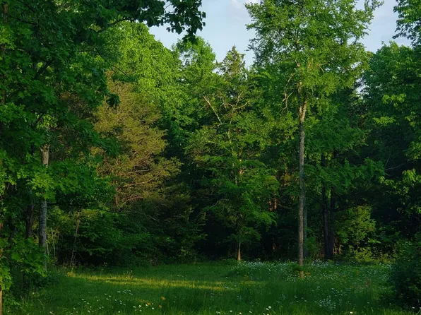 3658 Mahaley Rd, Chapel Hill, TN 37034