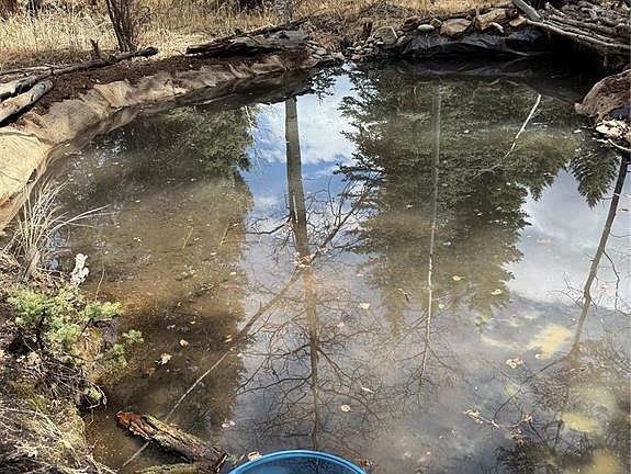 2nd image of 249 Gold Dust Creek Rd