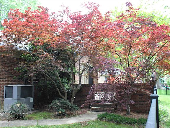 4th image of 579 Huntleigh Ln