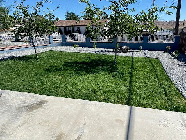 3 bed, 1.5 bath, 962 sqft, $1,800 — Photo 3