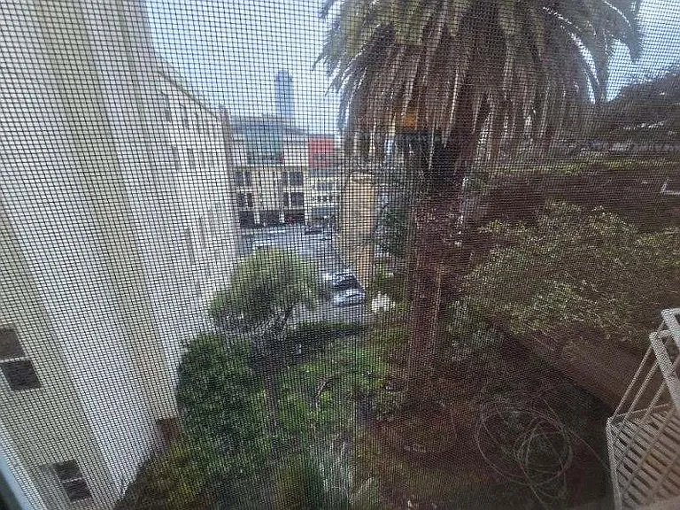 View from Living room to garden