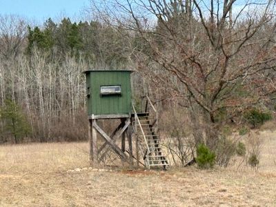 Cypress Ave, Paris, MI, 49338