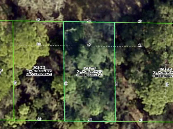 Rock Duck Ave Lot 29, Brooksville, FL 34614