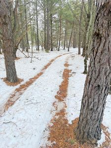 1302 W Tyler Rd, Muskegon, MI, 49445