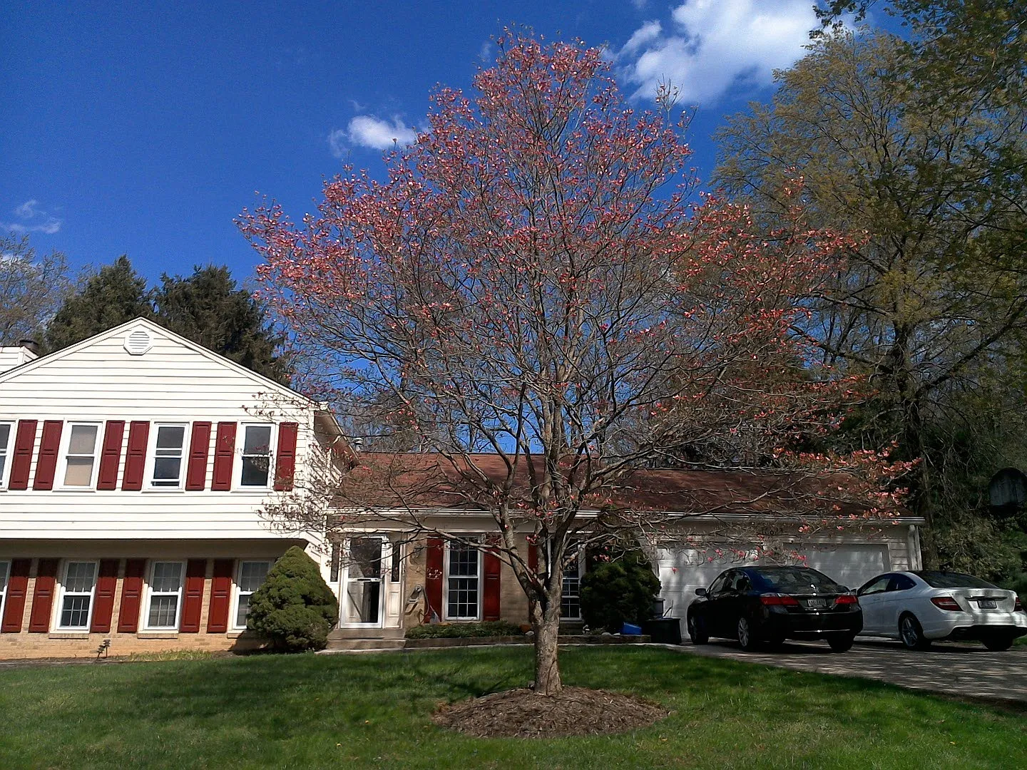 4 bed, 2200 sqft, $800 — Photo 1