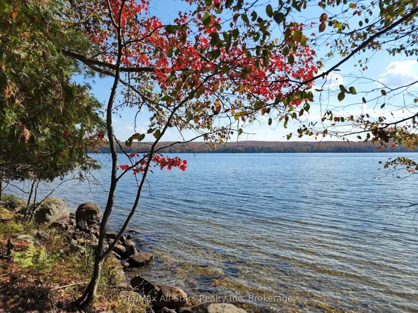 504 Bigwin Is, Lake Of Bays, ON P0A 1H0