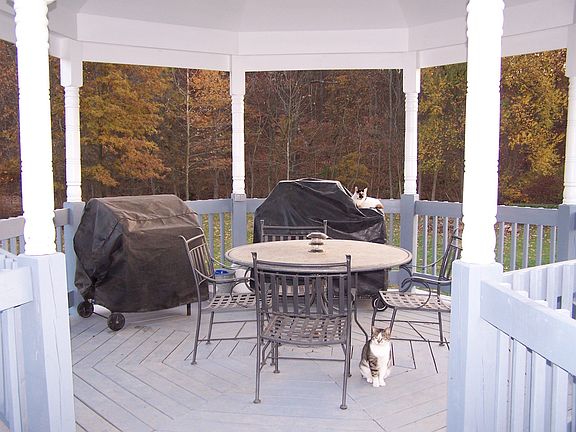 Backyard Gazebo