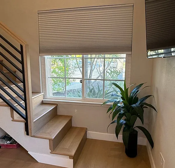 25520 Aragon Way — Photo 11
