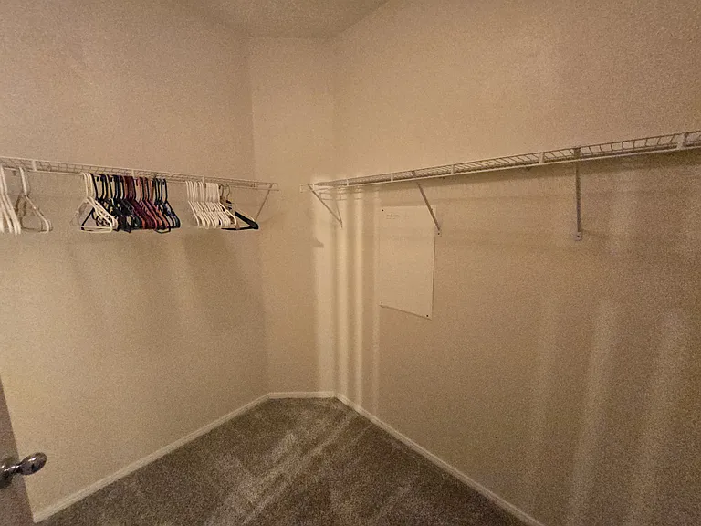Master walk in closet