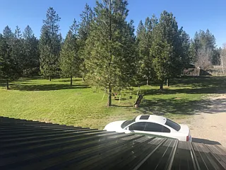 Looking out the Bedroom window.
