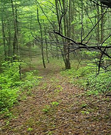 3rd image of 2251 County Route 16