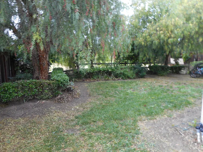 1962 Las Flores Dr — Photo 11