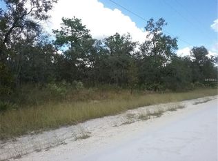 12395 Barnevelde Rd, Weeki Wachee, FL 34614