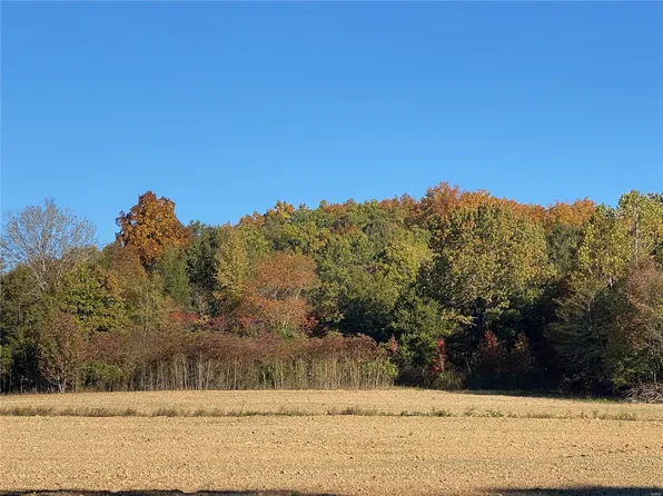 0 Off Hwy #Mm, Glenallen, MO 63751