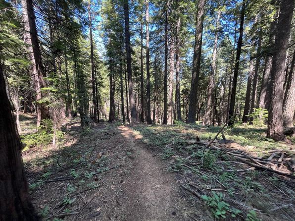 2925 Quincy La Porte Rd, Strawberry Valley, CA 95981