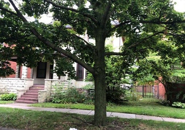 2nd image of 715 W Bethune St #11