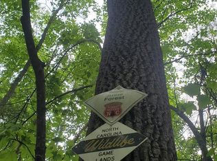 135 Mad Bear Trl, Rosman, NC 28772