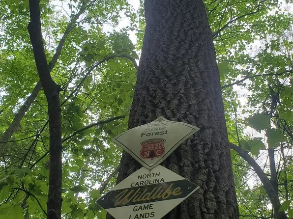 135 Mad Bear Trl, Rosman, NC 28772