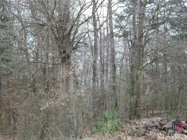 0 Duffell Martin Road, Comer, GA 30629