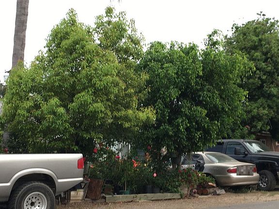 3rd image of 440 E 11th Ave