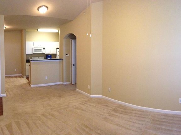 Living room area with plush carpet