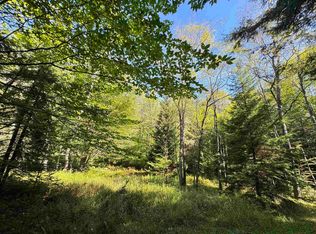 16 Black Bear Trl, Davis, WV 26260