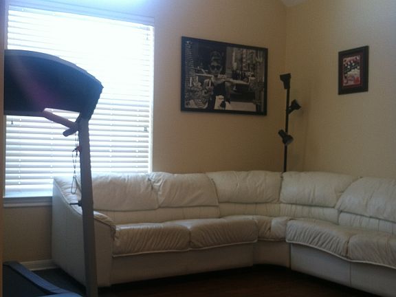 Media Room/4th Bedroom