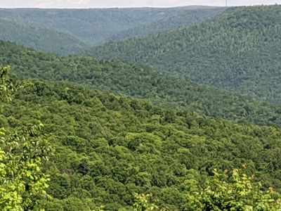 7 Jackson Point Rd, Sewanee, TN, 37375