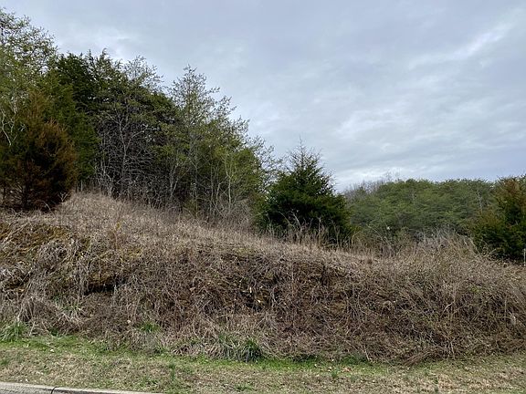 4th image of 0 Bald Eagle Dr Lot 14