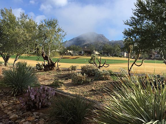Backyard view, hole #14