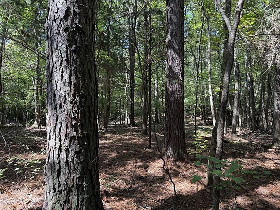 5th image of 0 Neely Ferry Rd Tract A