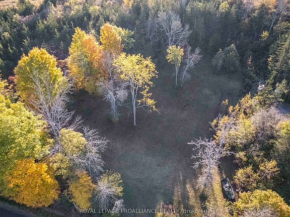 5th image of 863 Gunter Settlement Rd