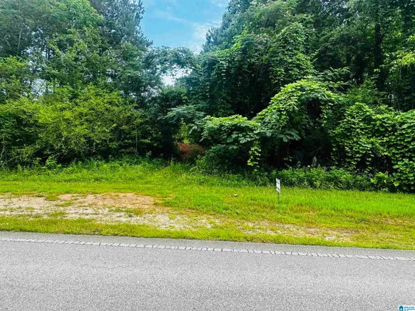 0 Highway 48 #0, Lineville, AL 36266