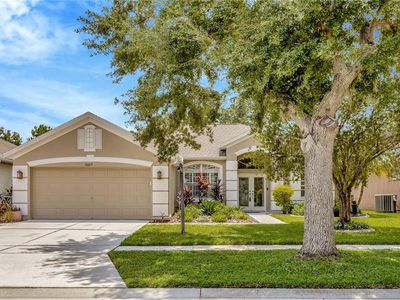 10013 Cannon Dr, Riverview, FL, 33578