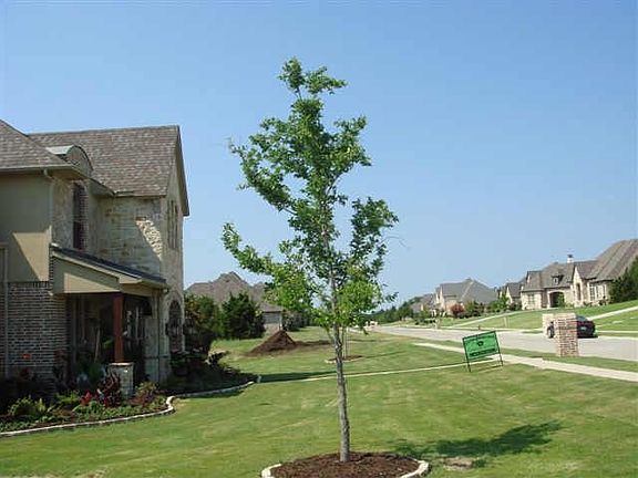 5th image of 1000 Cedar Glen Trl